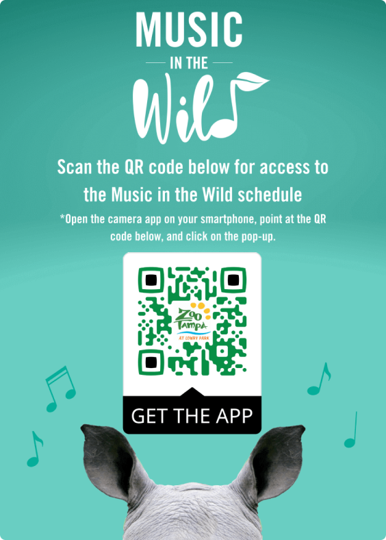 Ejemplo de un anuncio publicitario con un código QR que promociona la aplicación de ZooTampa.